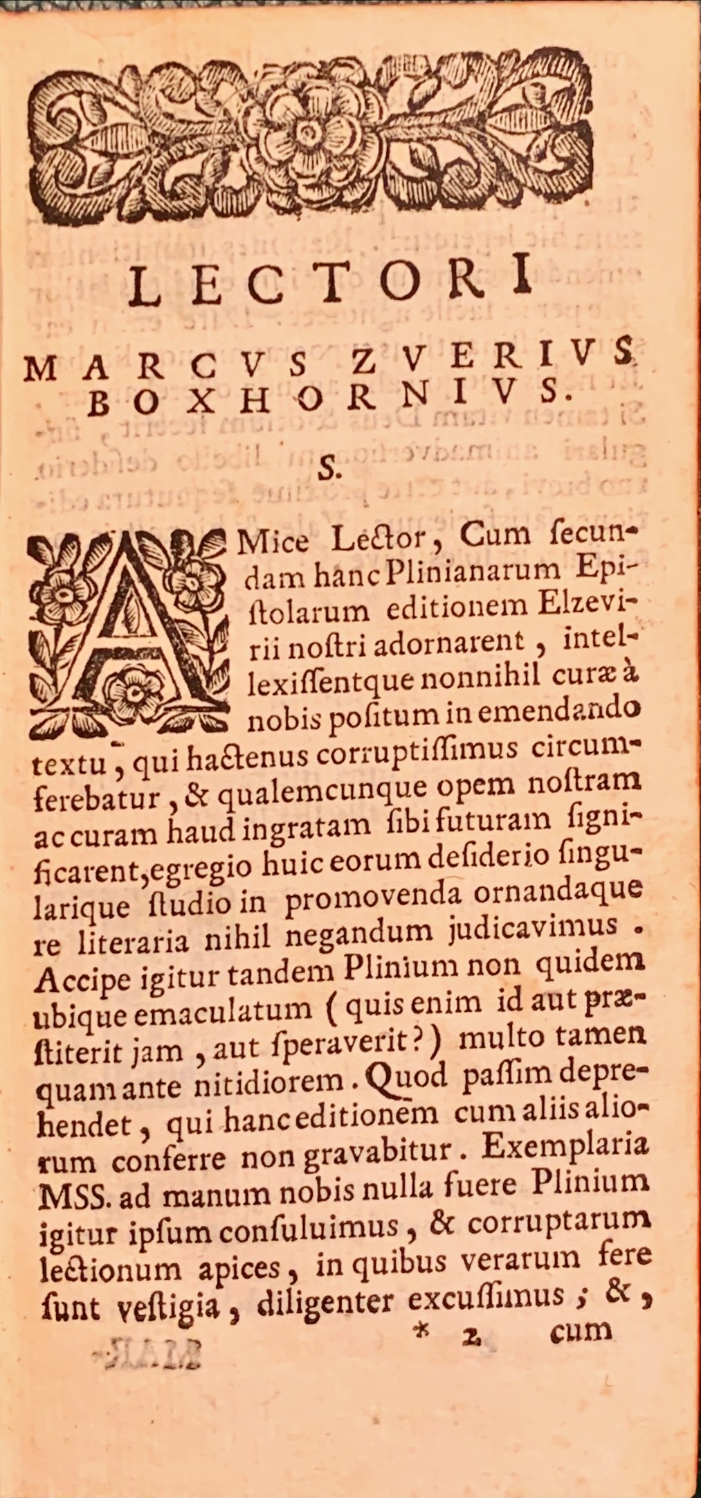 Epistolae et Panegyicus. Editio nova