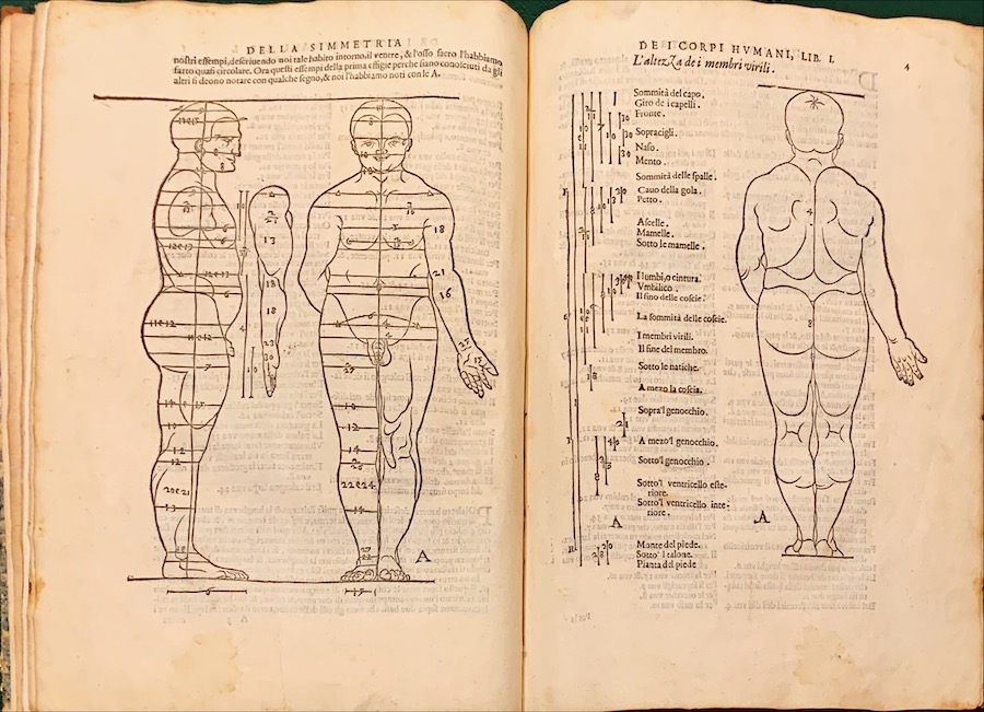 Di Alberto Durero Della simmetria dei corpi humani, libri quattro